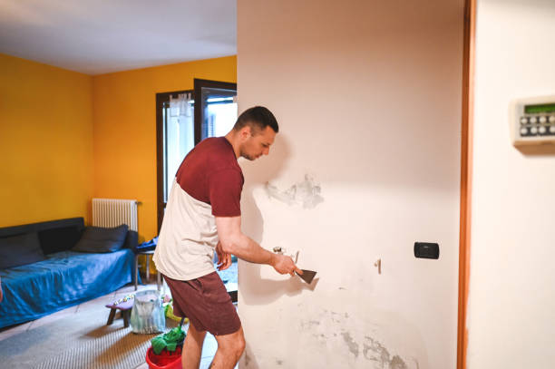 Best Localized Mold Remediation (e.g., coastal areas, humid climates) in Hopewell, VA